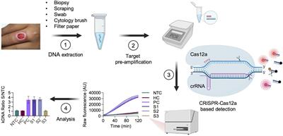 Novel CRISPR-based detection of Leishmania species